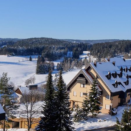 Apartment Schwarzwaldblick-13 By Interhome Schonach im Schwarzwald Экстерьер фото